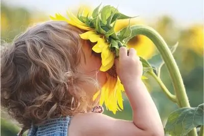Enfant qui sent un tournesol dans un champ, image de bien-être et nature