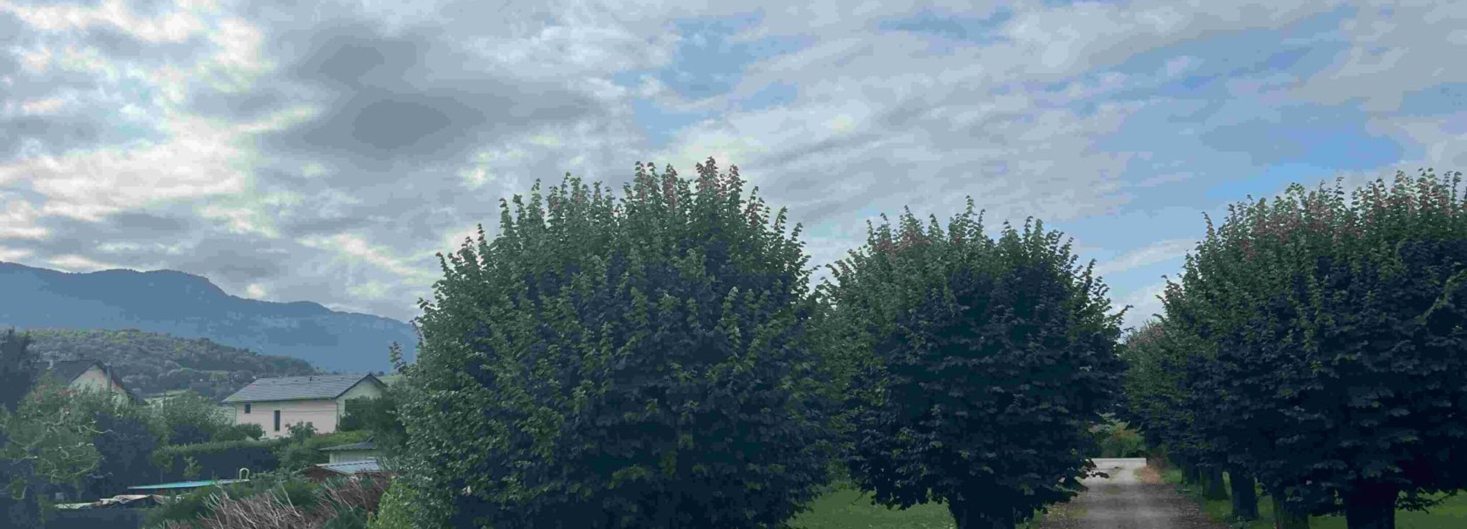 2094828.jpg