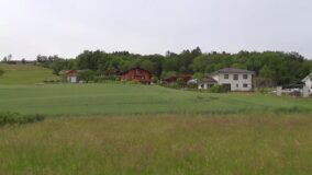 2144599.jpg