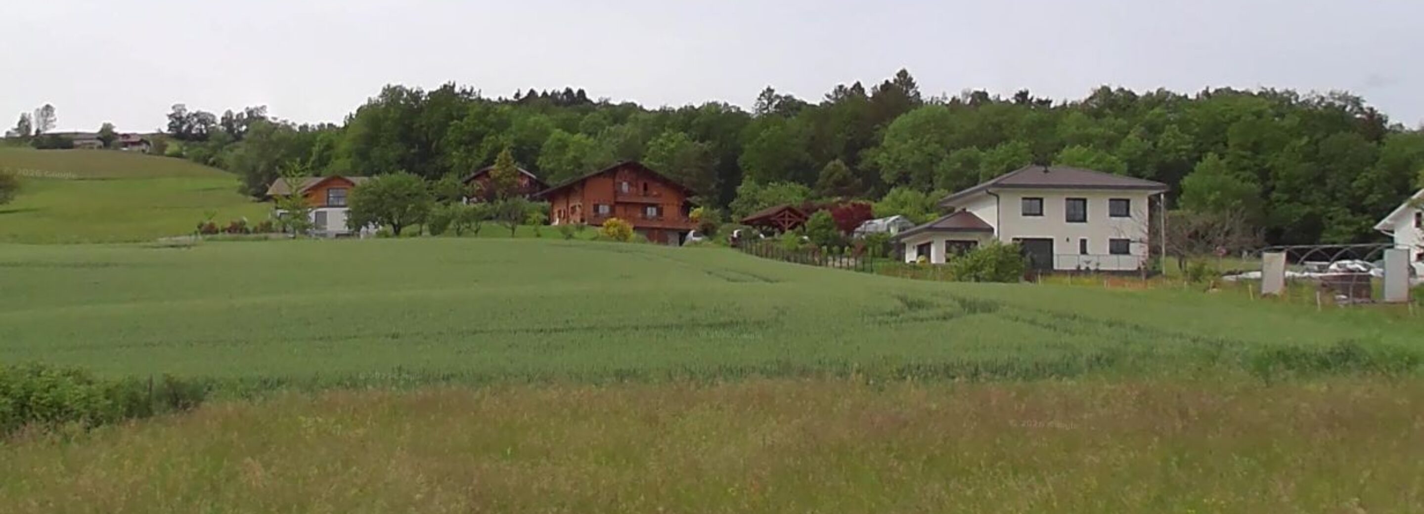 2144599.jpg