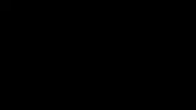 2033088.jpg