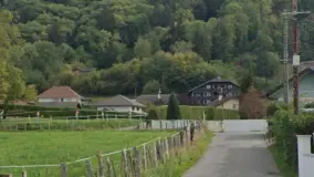 2008680.jpg