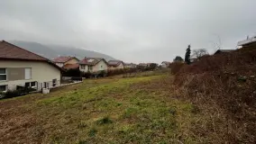 2047854.jpg