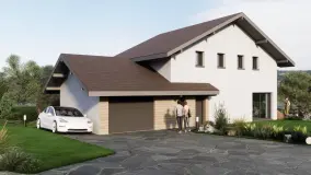 2053625.jpg