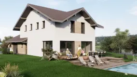 2053627.jpg