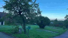 2095519.jpg