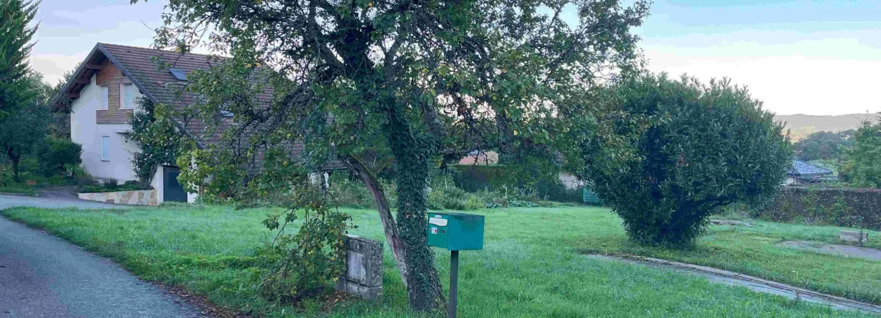 2095520.jpg