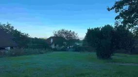 2095521.jpg