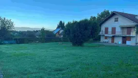 2095522.jpg