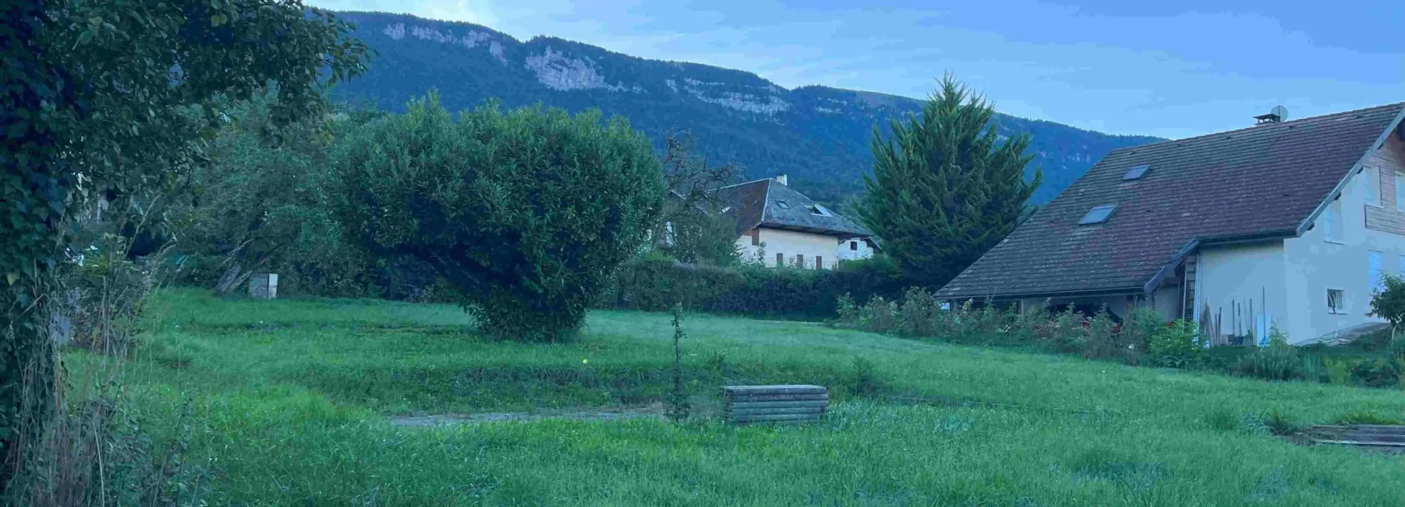 2095523.jpg