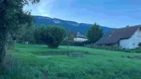 2095523.jpg