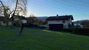 2103428.jpg
