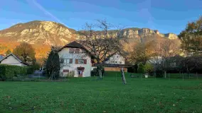 2103430.jpg