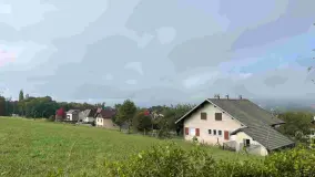 2103349.jpg