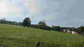 2103350.jpg