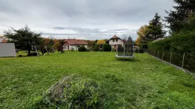 2107995.jpg