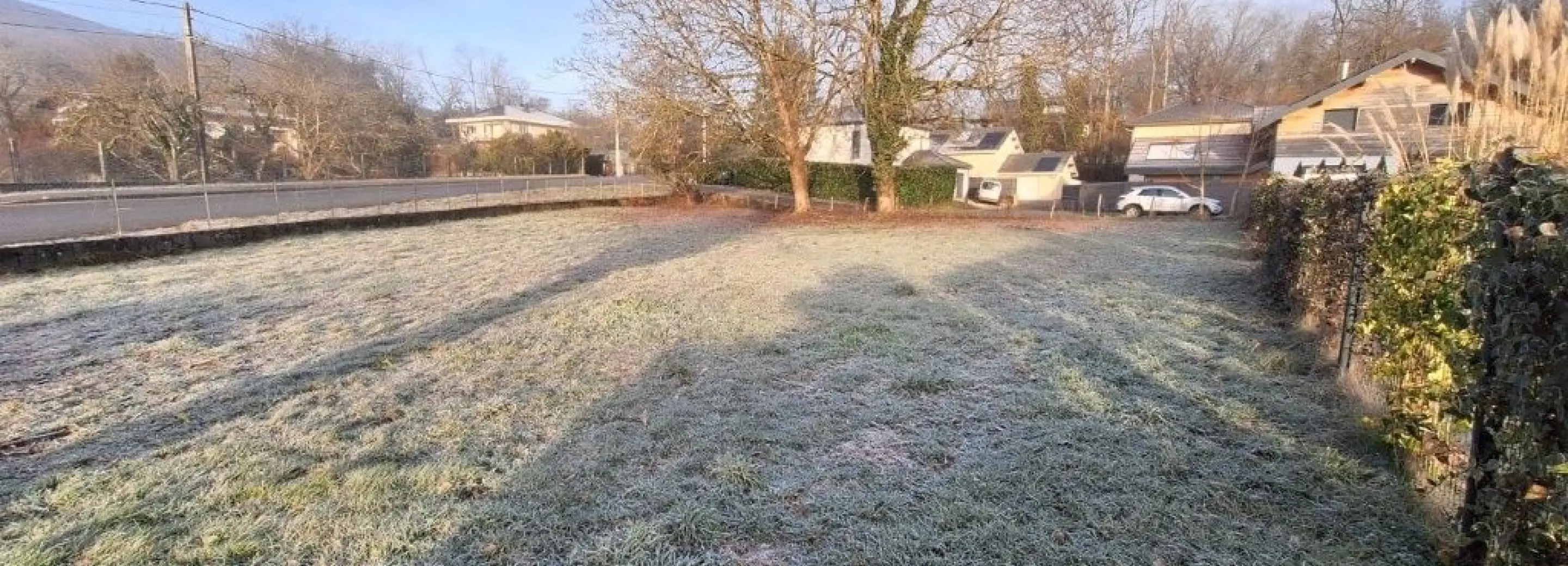 2116365.jpg