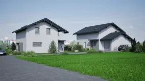 2124541.jpg