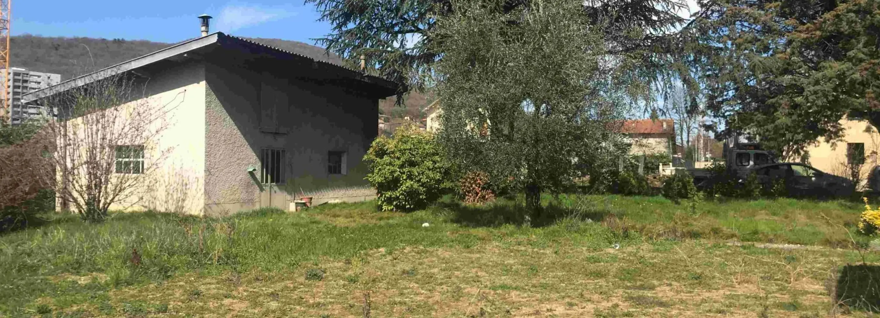 2124538.jpg