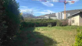 2124540.jpg