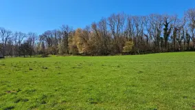 2126545.jpg
