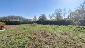 2128604.jpg