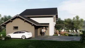 2129789.jpg