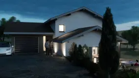 2140503.jpg