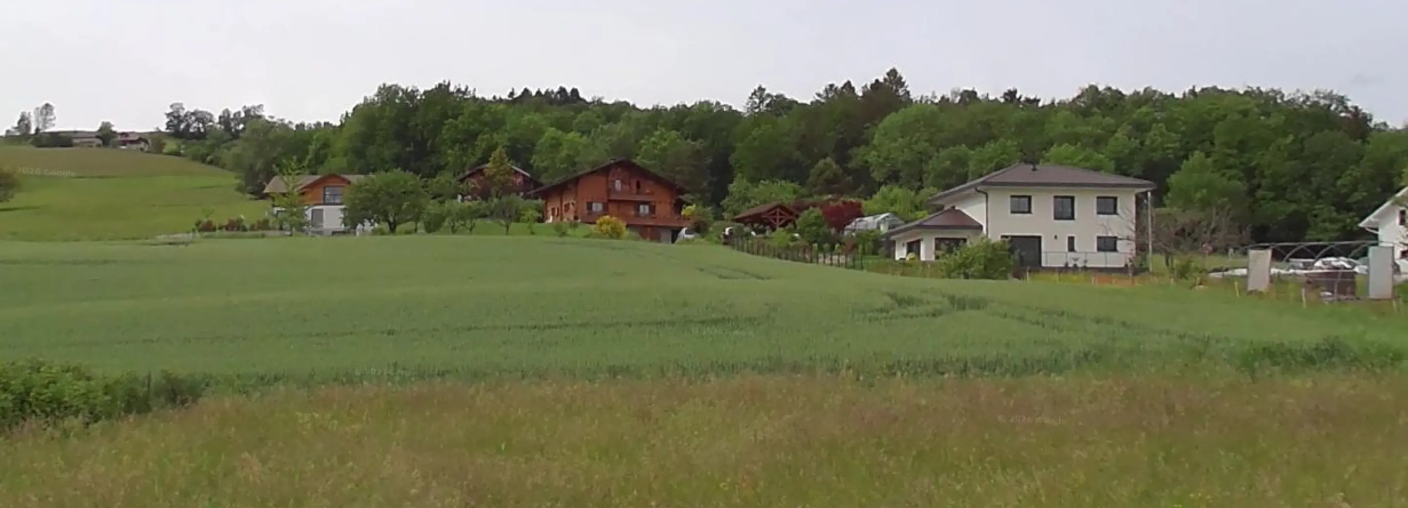 2144599.jpg