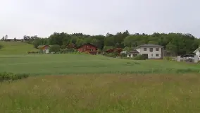 2144599.jpg