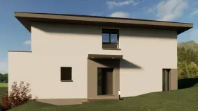 2149314.jpg
