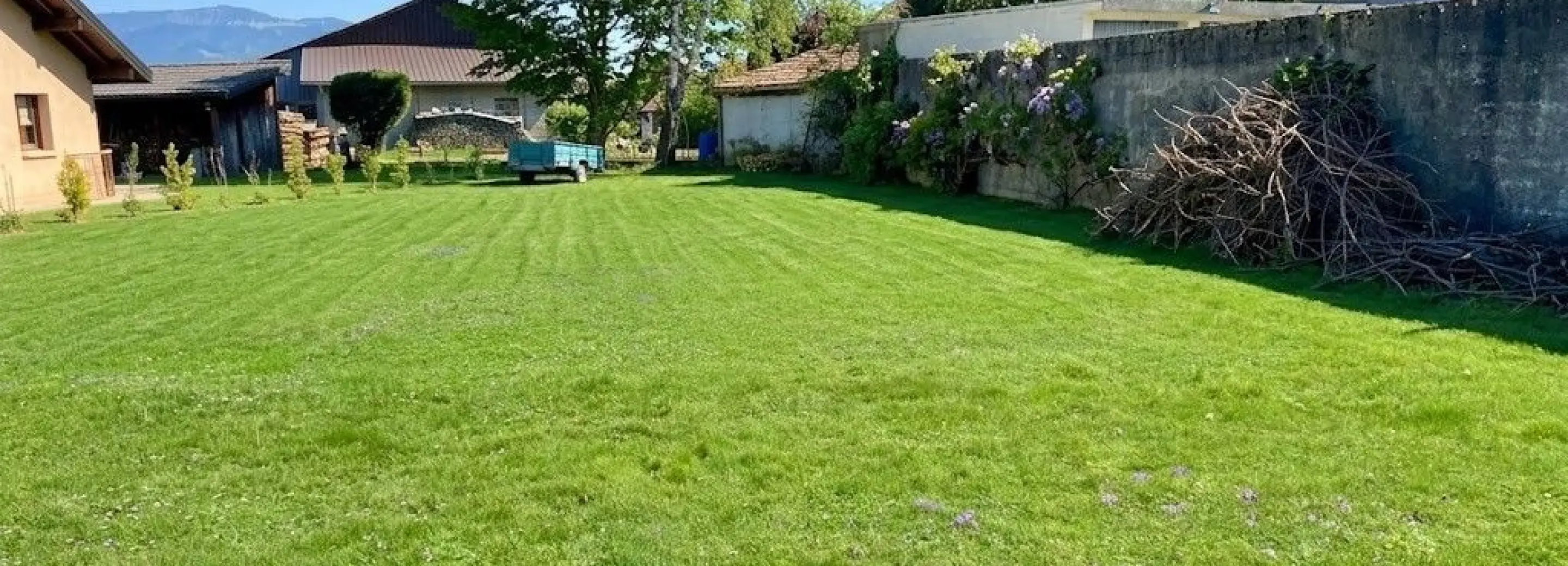 2147406.jpg
