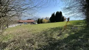2146180.jpg