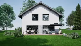 2145369.jpg