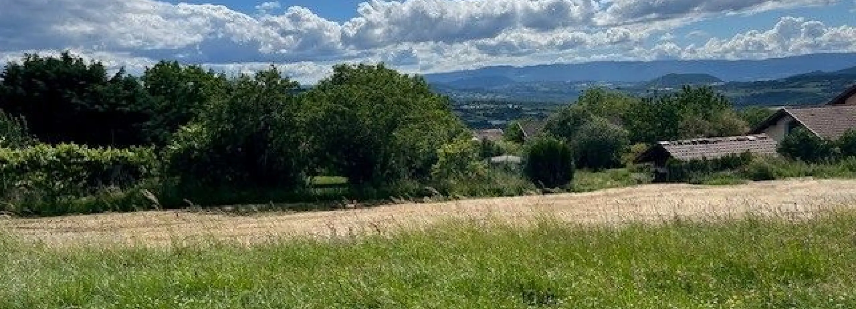 2145370.jpg