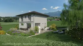 2146264.jpg