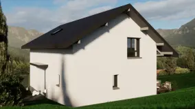 2151651.jpg