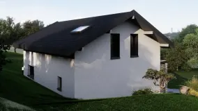 2153577.jpg