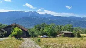 2153585.jpg