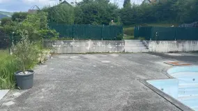 2155037.jpg
