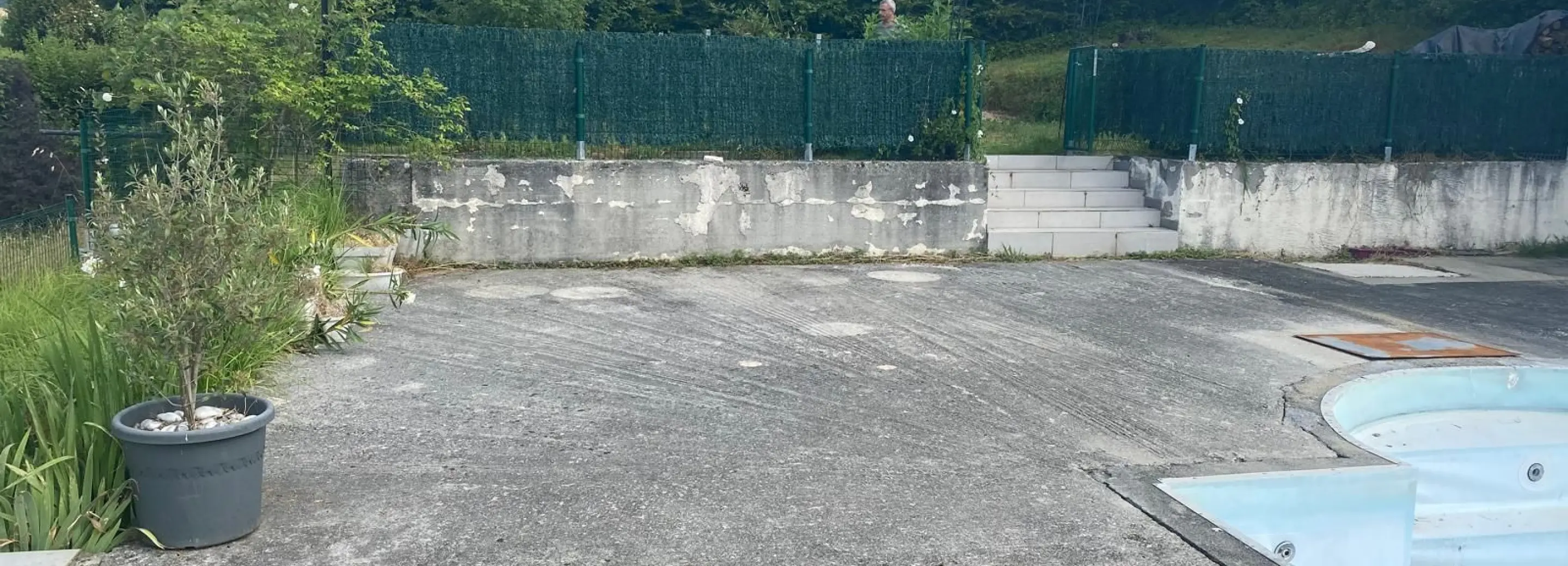 2155038.jpg