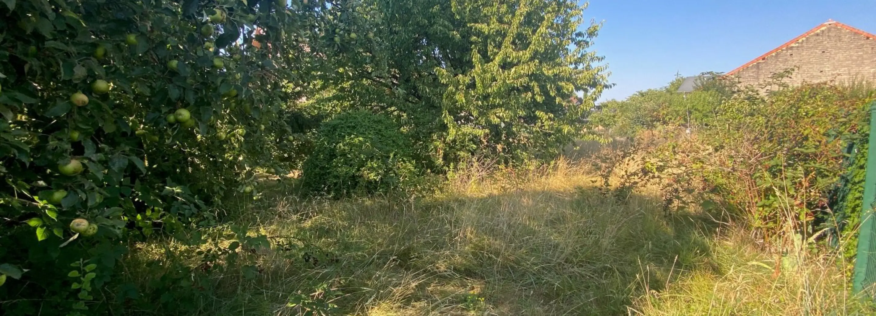 2155261.jpg