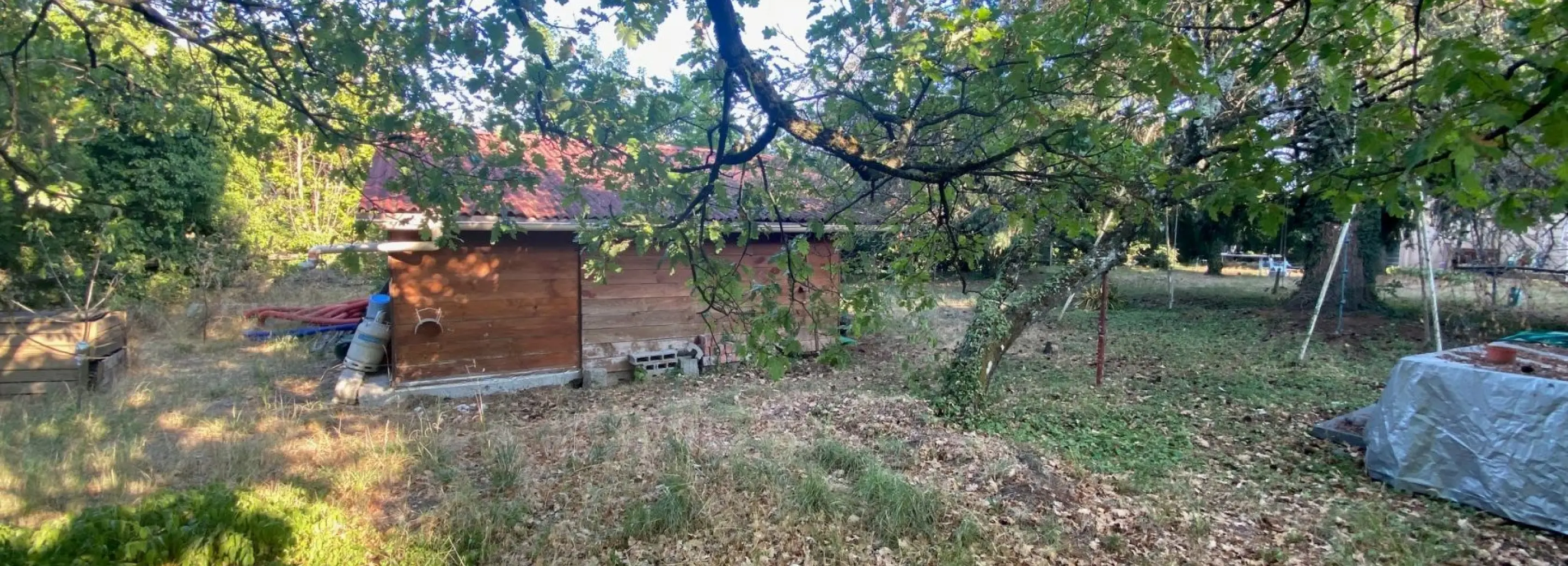 2155274.jpg