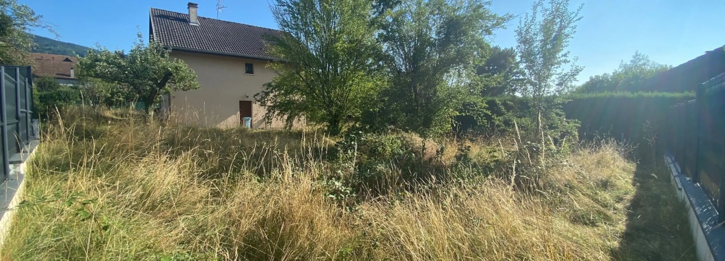 2155269.jpg