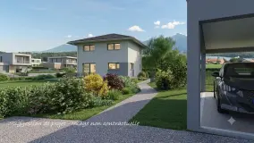2155558.jpg