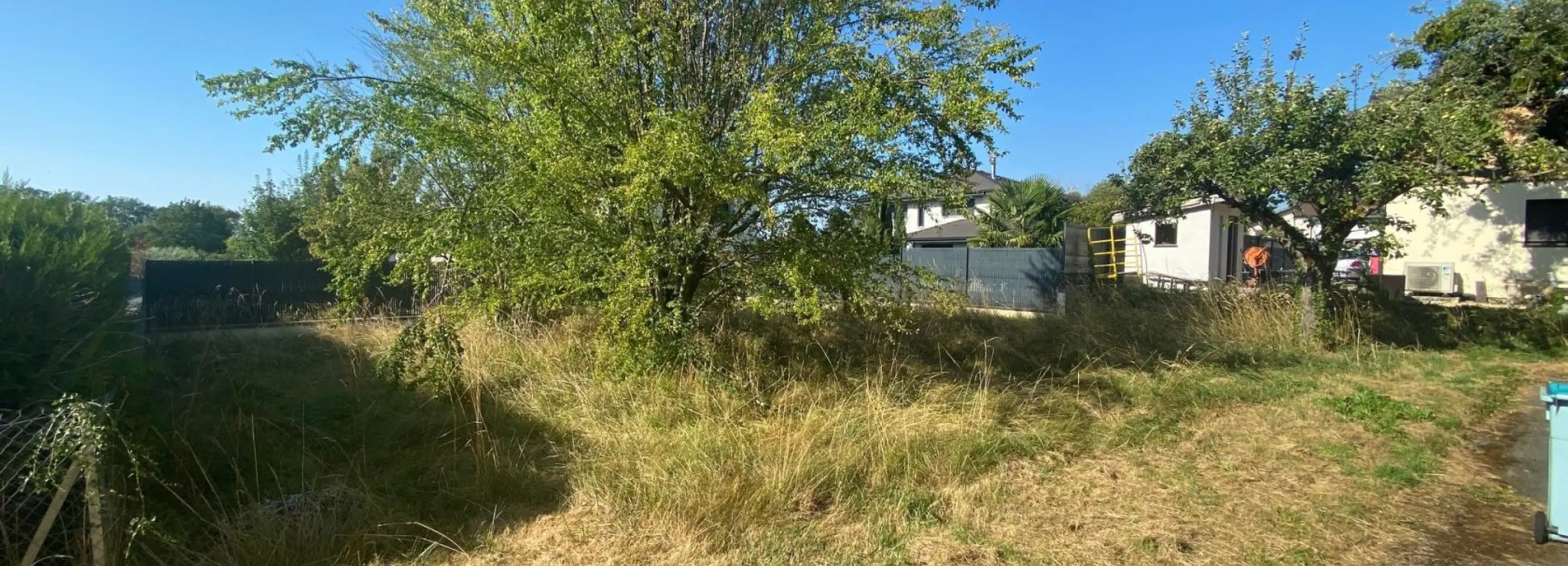 2155267.jpg