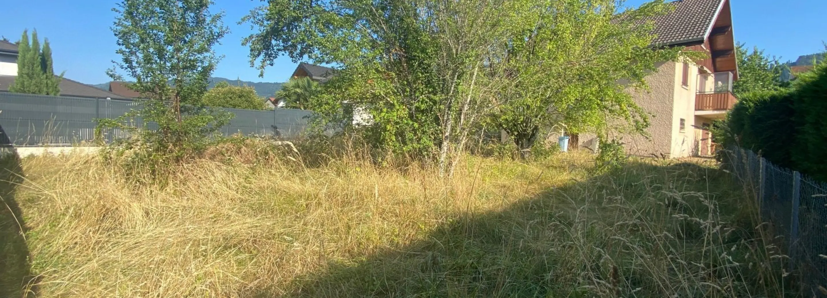 2155268.jpg