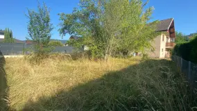 2155268.jpg