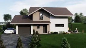 2160464.jpg