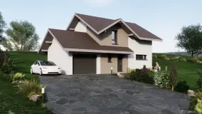 2160465.jpg